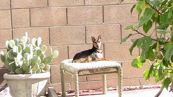 Catching some morning rays