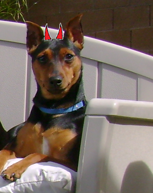 Faith the Bad MinPin