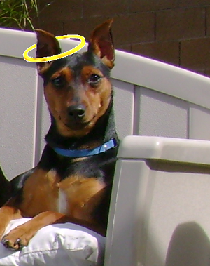 Faith the Good MinPin