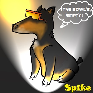 I May Be A Star, but the Bowl is Still Empty