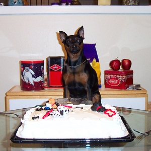 Spike loves Birthdays!