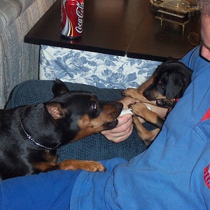 Sharing a Bone with baby Angel