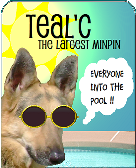 Teal'c the Largest MinPin