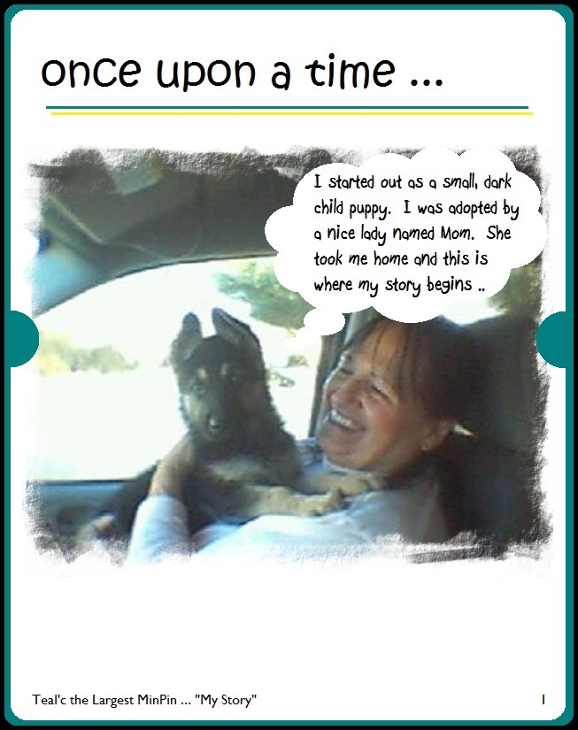 Teal'c the Largest MinPin with his new Mom