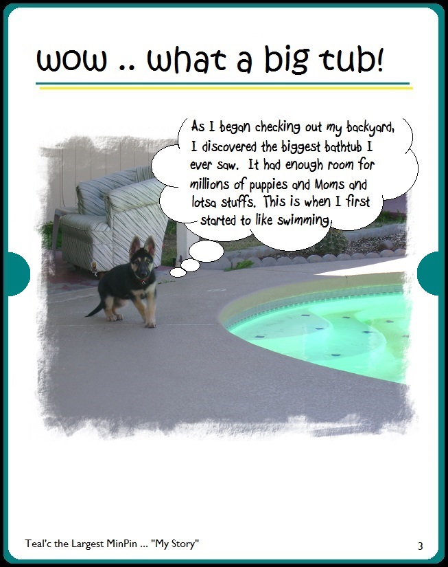 Teal'c the Largest MinPin sees a big bathtub