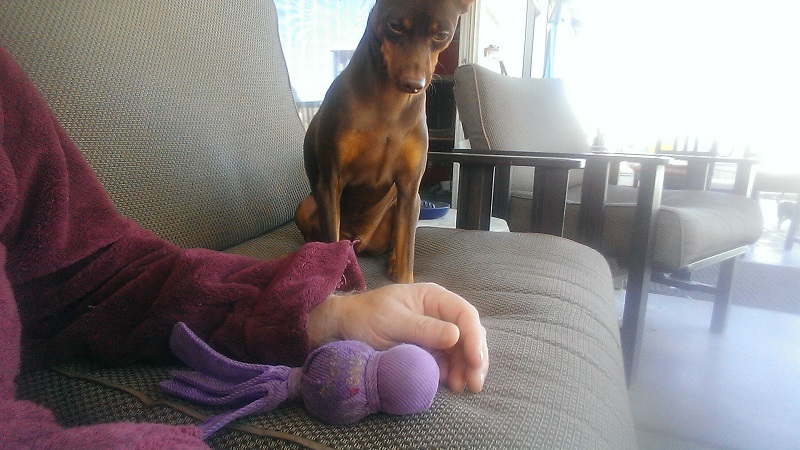 Xander says Let's Play Dad!!