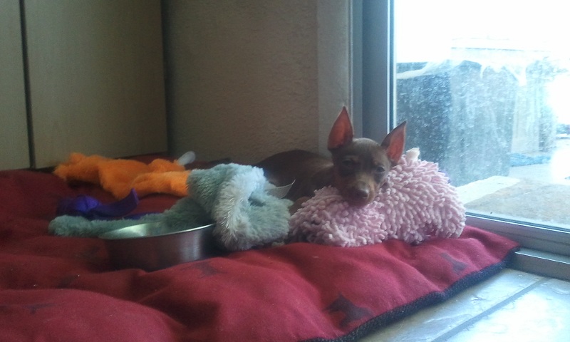 Naptime!!